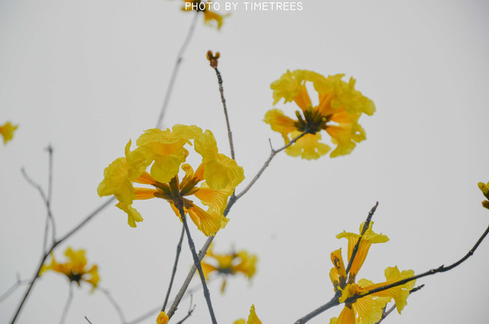 游玩增城新塘,游玩增城