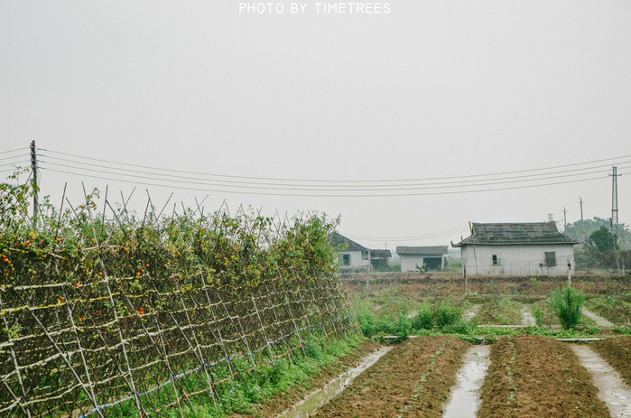 游玩增城新塘,游玩增城
