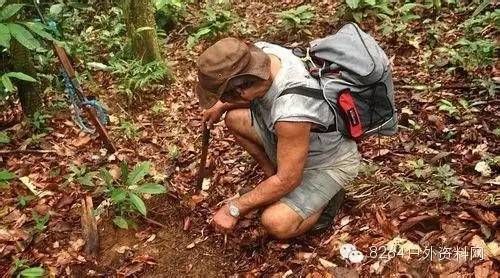 野外防迷路有哪些绝招,户外迷路自救技巧