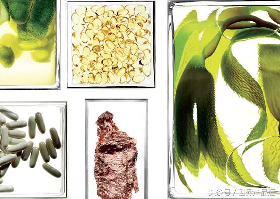 lamer绿色海蓝之谜一套多少钱 (lamer海蓝之谜一套包括哪些)