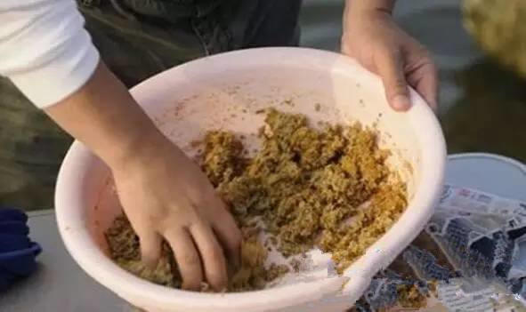 冬季钓鱼是老钓点好还是新钓点好,冬季钓鱼的钓点选择和天气