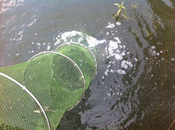 湛江千人钓鱼视频,疯狂钓鱼人钓到了最大的鱼