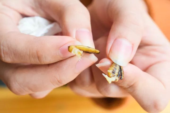 番禺区钟村南站,番禺钟村站