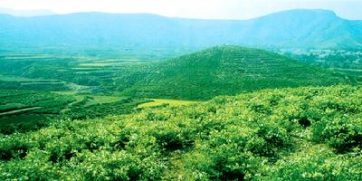 平邑历史文化遗迹简介,介绍平邑人的家乡