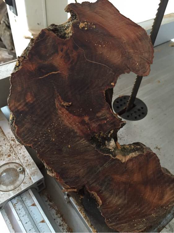 崖柏手串的历史,关于崖柏的那些事