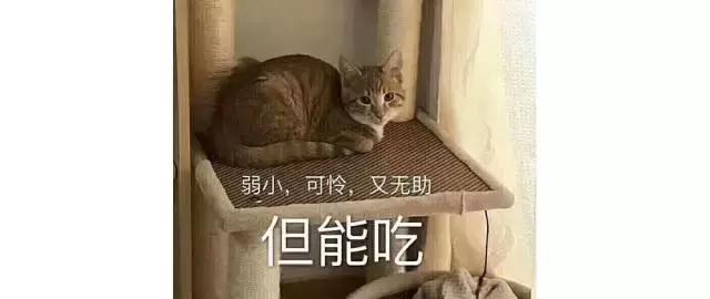 pola美白vc粉,polavc美白