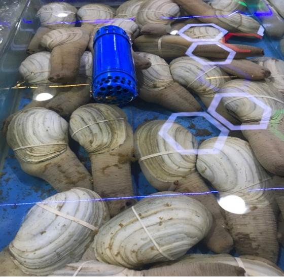 三亚必买10件礼物,三亚免税城购物攻略