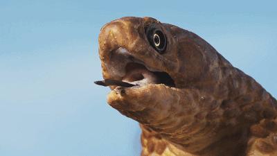 这34个间谍，每天只干一件事：*窥偷**！还拍成电影全球上映？