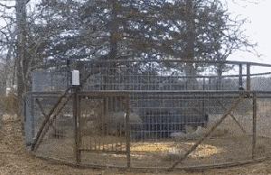 麦点商城回款是真的吗,麦点商城存在多少年