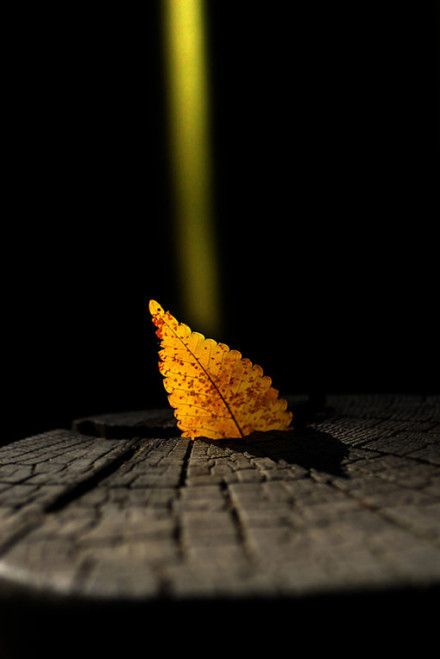 最好的相遇是久别重逢电视剧,最好的相遇是久别重逢的句子