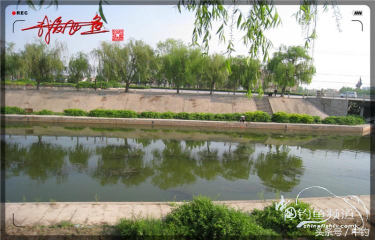 陪伴孩子的野餐,周末家庭式野餐陪伴家人