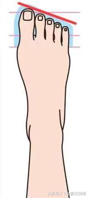 脚趾的形状还有这种说法，快来看看你属于第几种