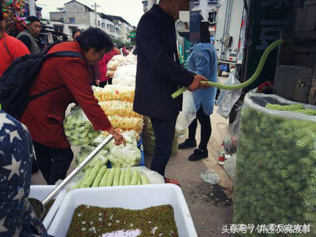 返乡创业0经验销路不愁无淡季,回农村创业怎样才能一年赚10万