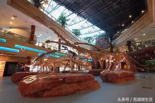 鍚堣偉榛勯簱鏅偣,鍚堣偉鏃呮父鏅偣