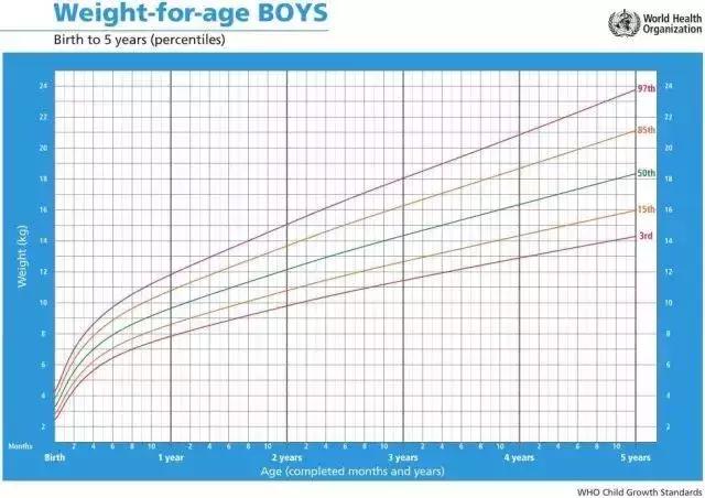 米博士教育观察记｜第3期：儿童成长发育图