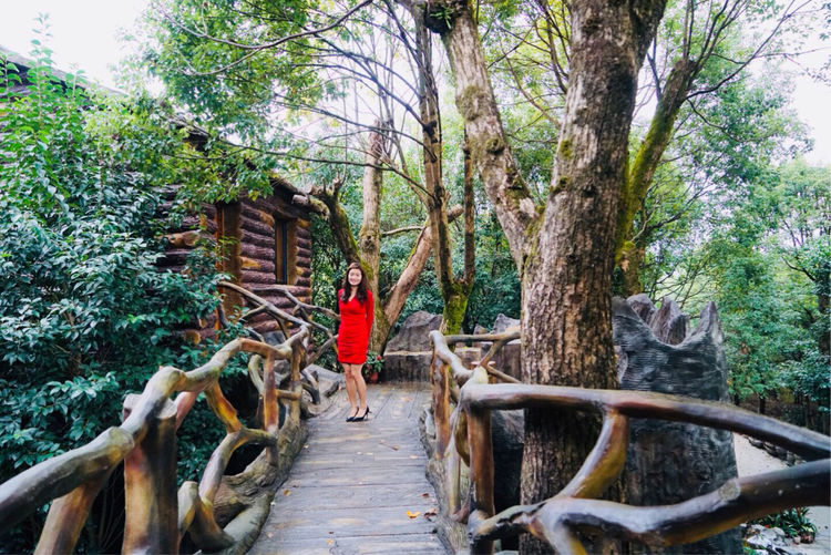 温州的春天有哪些特点,温州春夏秋冬