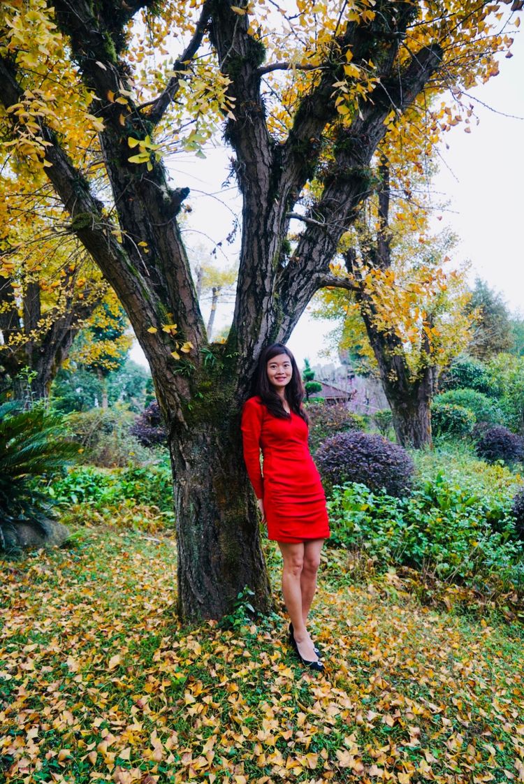 温州的春天有哪些特点,温州春夏秋冬