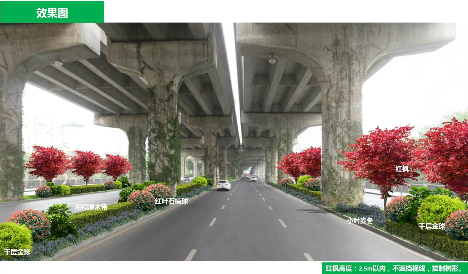 成都二环的发展,成都未来之都在哪里