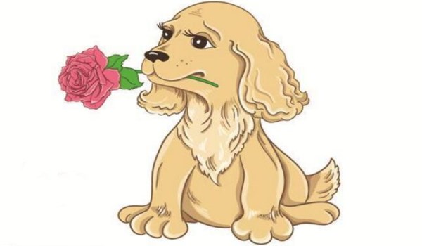 1994年属狗2019年的感情运势,1994年的属狗人在2018年的事业运