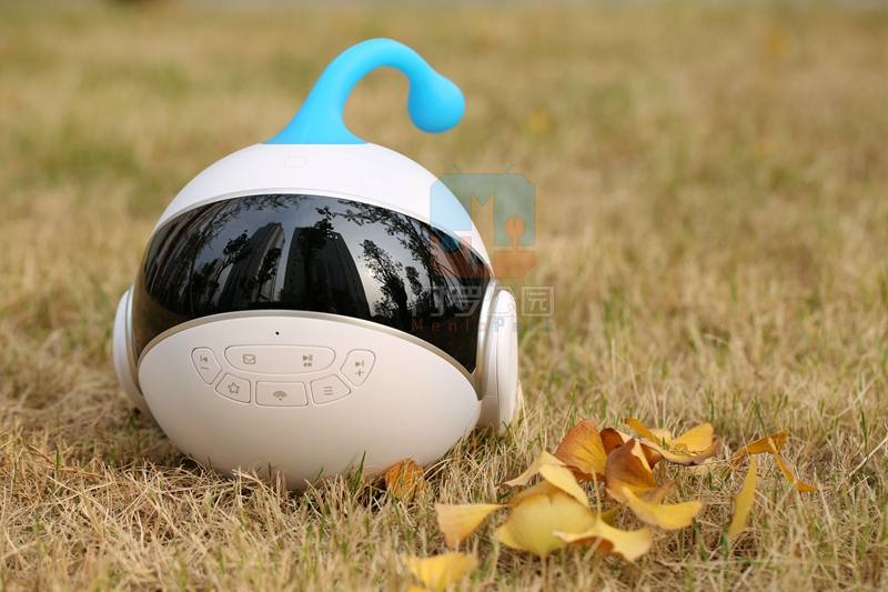 国产智能机器人测评,最便宜的智能机器人测评