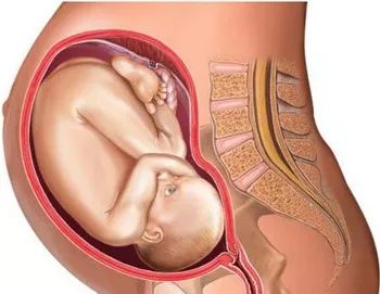 吸食毒品合成麻黄有什么危害,吸食毒品后有什么后果