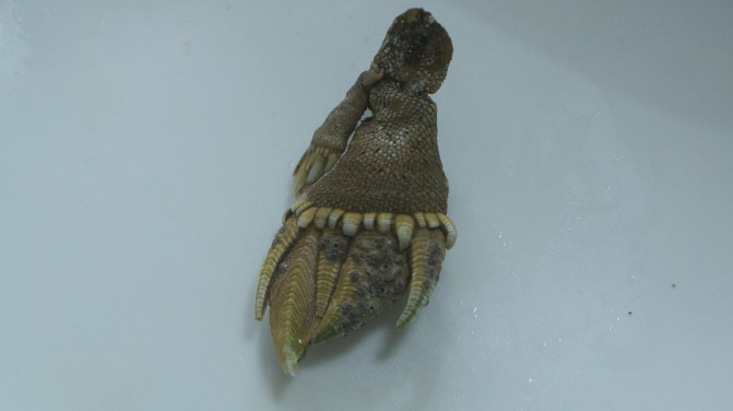 福鼎台山岛吃住行攻略,福鼎吃住行方便的地方