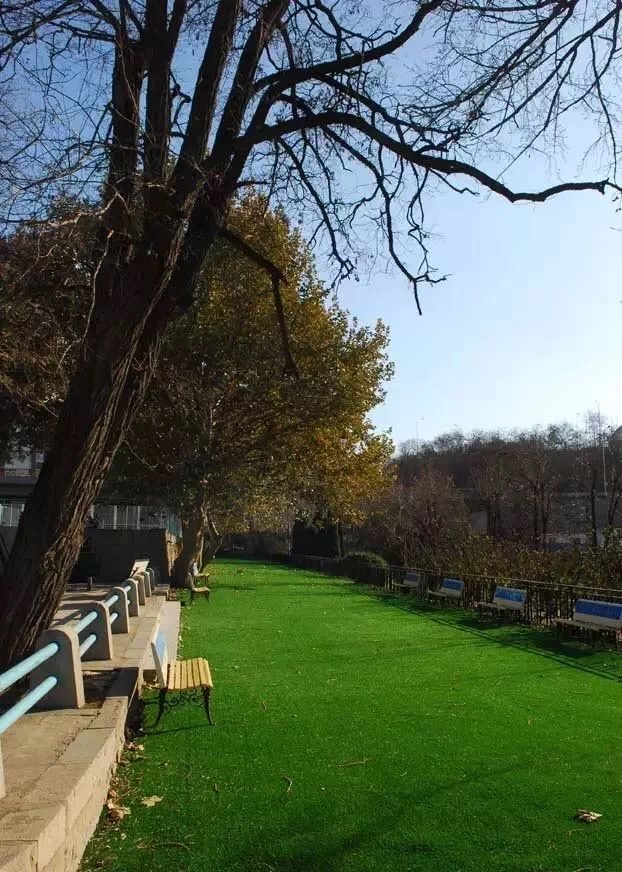 大连24中学录取分数线,大连第24中学