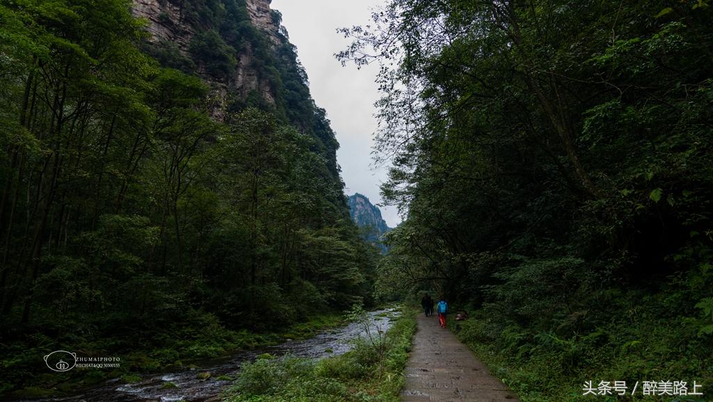 武陵源，秋之颂歌！