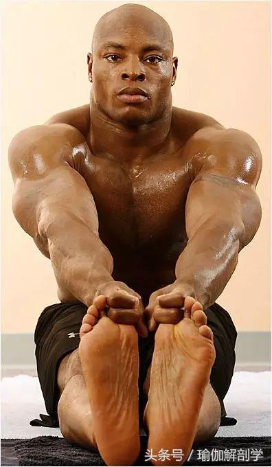 运动员为什么要练瑜伽,为什么运动员都去练瑜伽