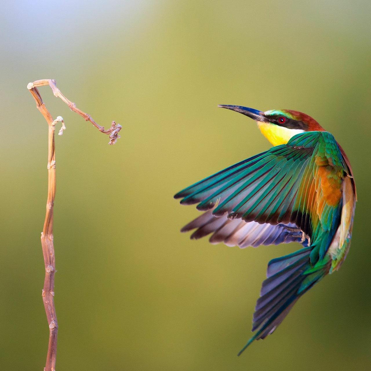 微信相册封面动态教程,微信相册封面美图英文