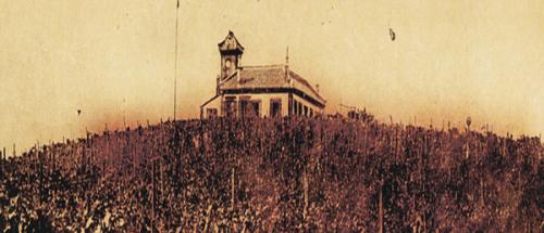 张裕百年甜红葡萄酒,百年张裕的传奇品质