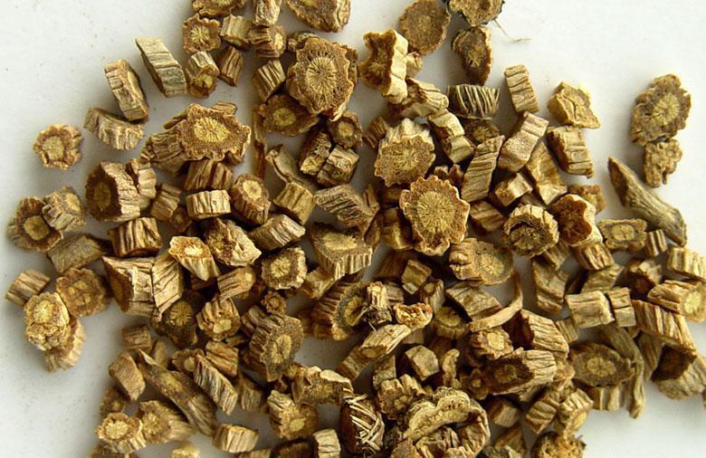 中药防风的功效与作用害处,中药防风的功效与作用有哪些