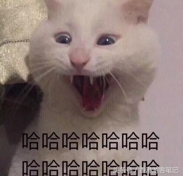 香港最潮的鞋子,香港今年比较火爆的鞋子