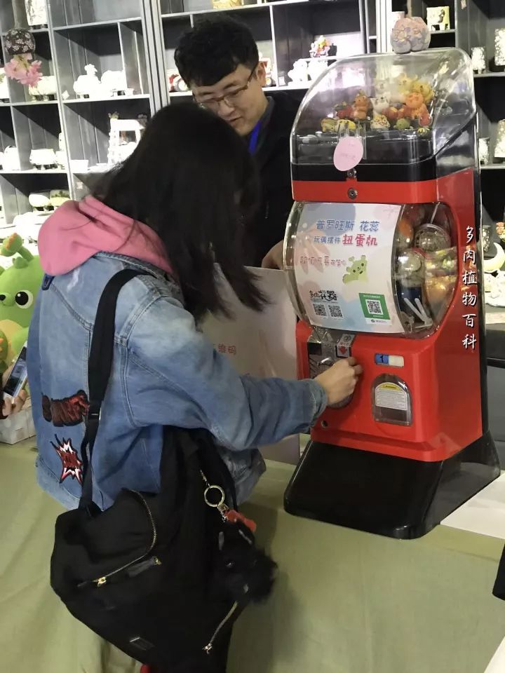 公认最美4种多肉植物图片,2014年上海多肉植物展图片