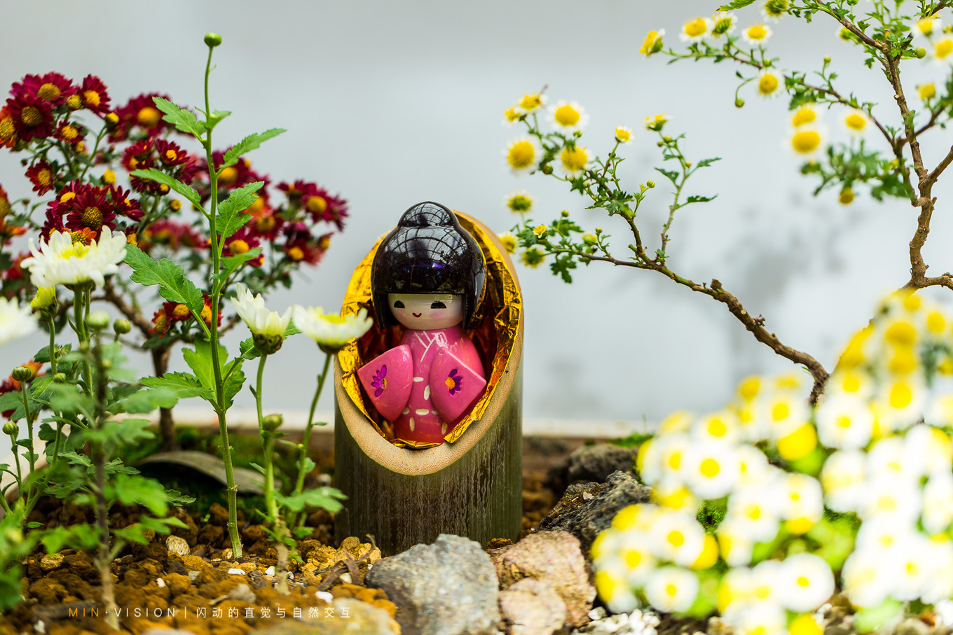 去东京玩用什么攻略,东京攻略东京