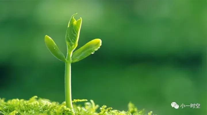 一类致癌物和三类致癌物的区别,生活中常见的三级致癌物有哪些