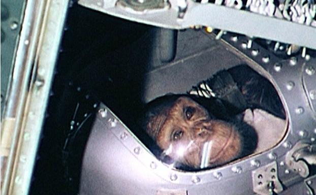 十种曾到过太空的动物,中国有哪些进入太空的动物