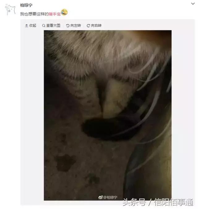 冷冷冷换季式降温来袭,冷冷冷今年首场寒潮将携暴雪来袭