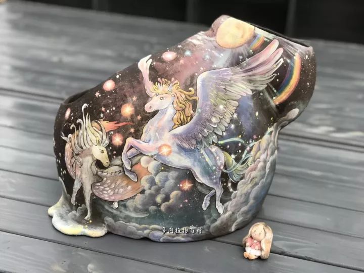 公认最美4种多肉植物图片,2014年上海多肉植物展图片