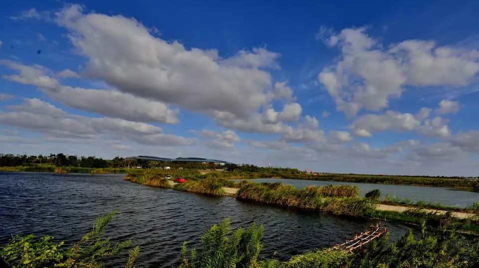 上海哪个地铁站去景点方便,上海免费景点及地铁路线
