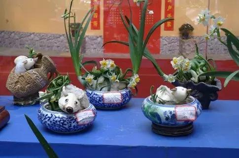 水仙花的造型艺术图片,水仙花的花语传说与诗词鉴赏