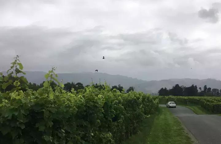 他们有钱,会玩,没有中产焦虑