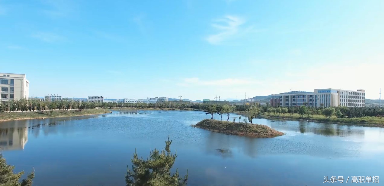 山东药品食品职业学院搬校,山东药品食品职业学院人才