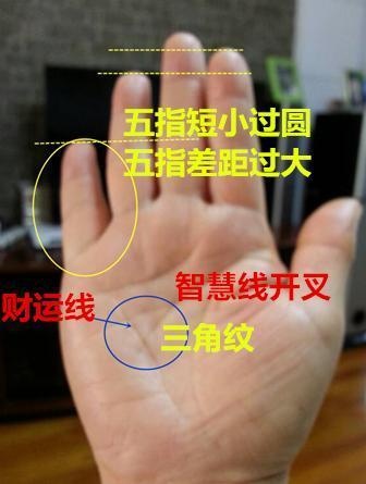 手相如何看人生运势图片,各种手相事业运势图片解析