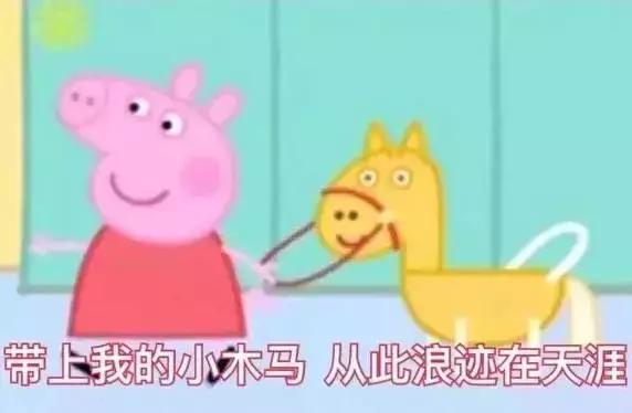 霸占你的小猪表情包,霸占你全部时间的表情包