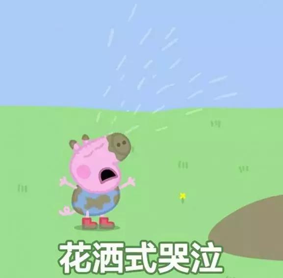 霸占你的小猪表情包,霸占你全部时间的表情包