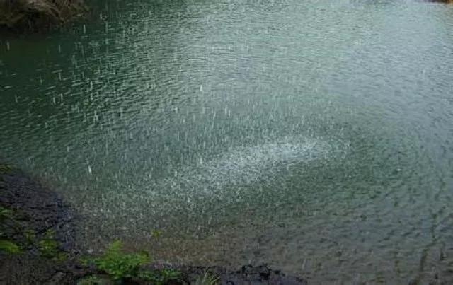 让孩子有个安全的家,给孩子一个完整的家让孩子幸福