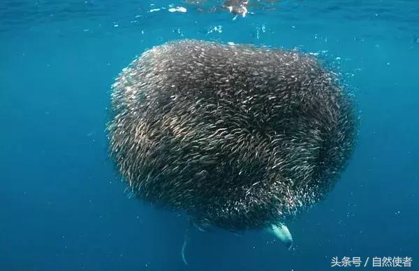 不输在起跑线,不输在家庭教育起跑线上