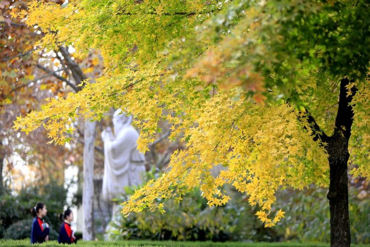 金秋沂南,诗意流淌有那么一群爱美的人,把秋季沂南送到你面前