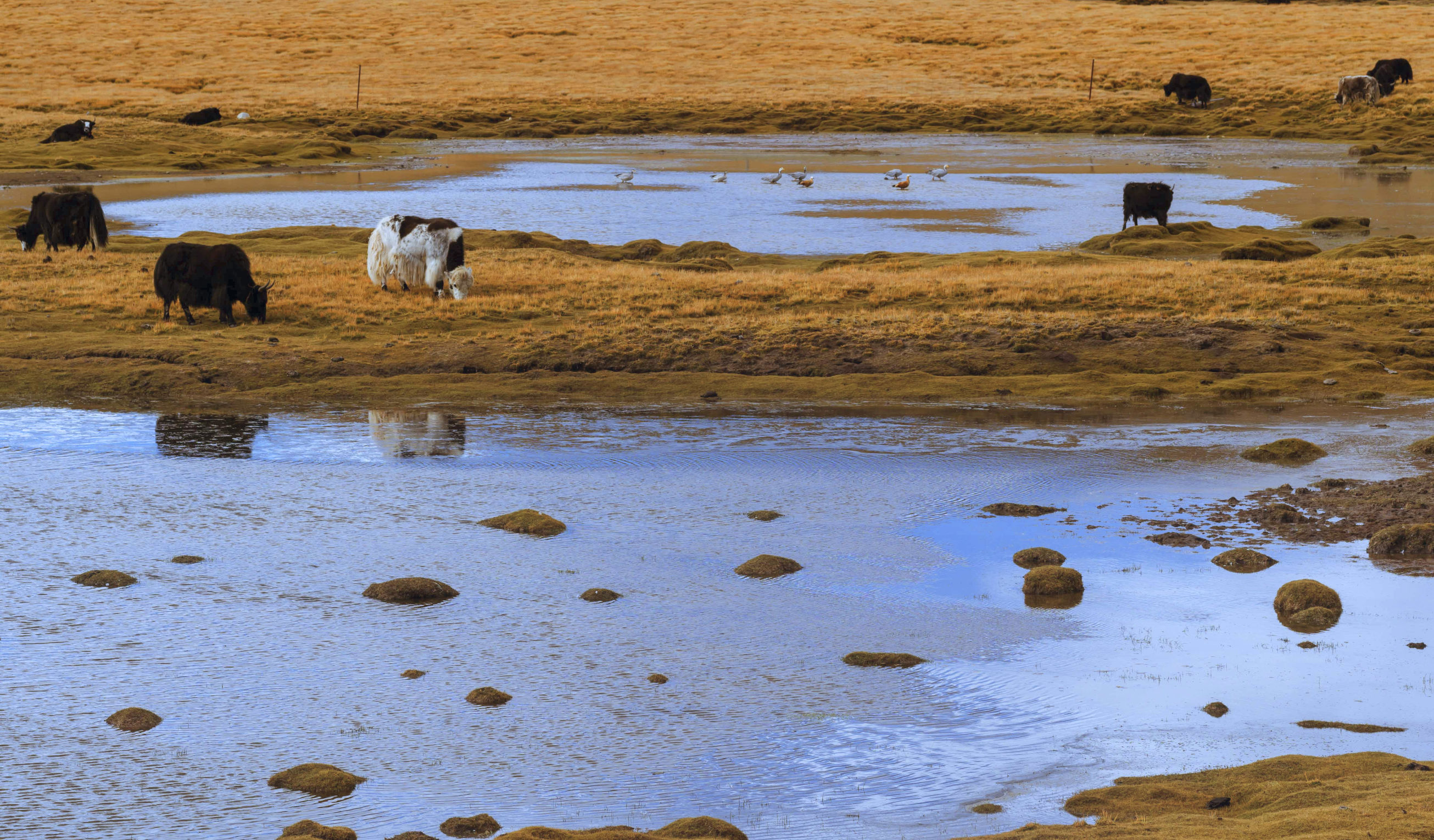 青藏线出西藏自驾攻略,出藏109国道自驾攻略